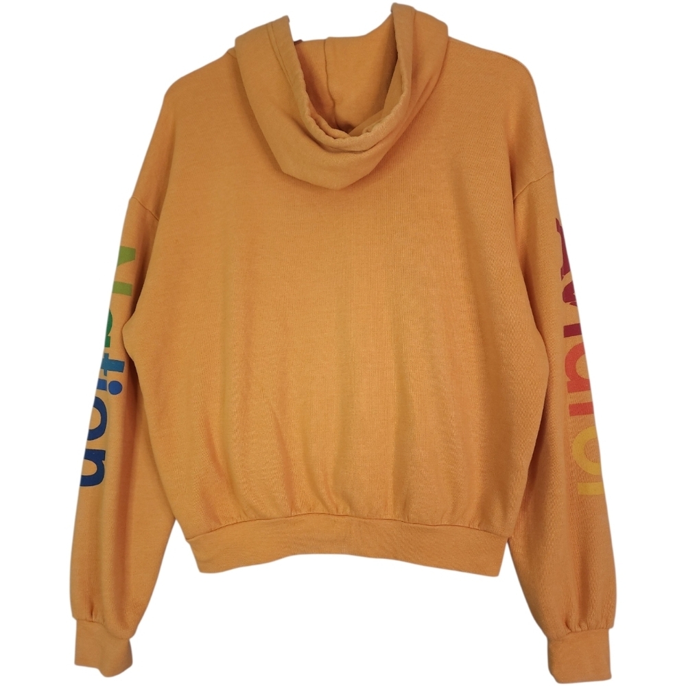 Aviator Nation Aspen Relaxed Pullover Hoodie Ski Graphic Gold - Picture 3 of 8